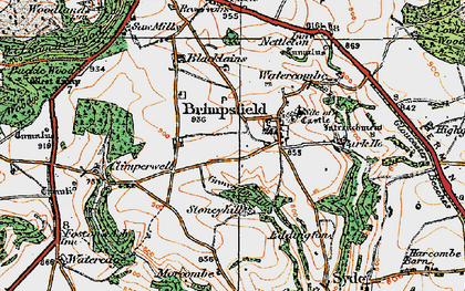 Old map of Brimpsfield Park in 1919