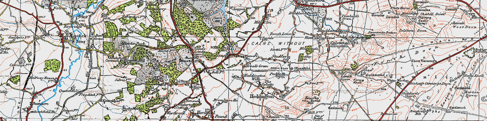 Old map of Broad's Green in 1919
