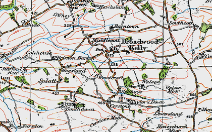 Old map of Broadwoodkelly in 1919