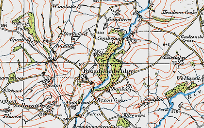 Old map of Broadwoodwidger in 1919