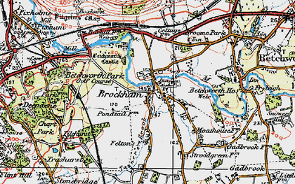 Old map of Betchworth Park in 1920