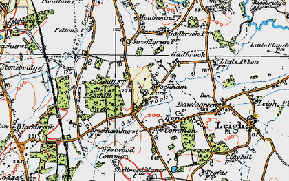 Old map of Brockham Park in 1920