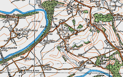Old map of Brockhampton in 1919