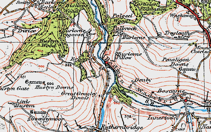 Old map of Burlorne Pillow in 1919