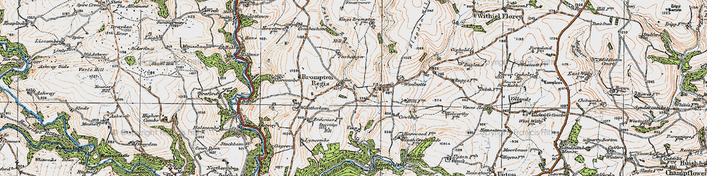 Old map of Brompton Regis in 1919