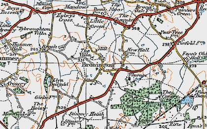 Old map of Bronington in 1921