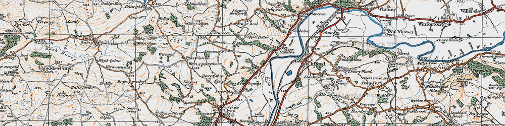 Old map of Bronydd in 1919