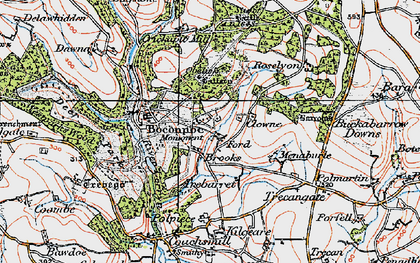 Old map of Buckabarrow Downs in 1919