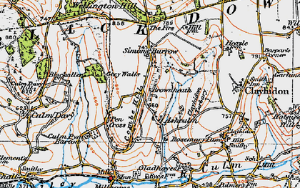 Old map of Brownheath in 1919