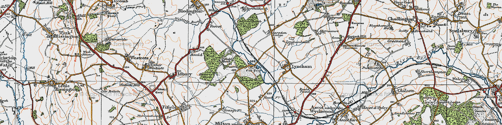 Old map of Bruern Wood in 1919