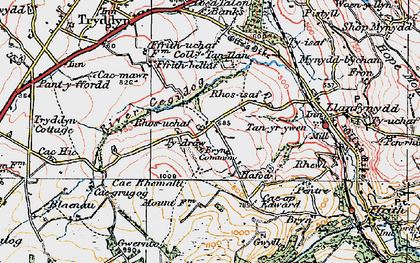 Old map of Bryn Common in 1924