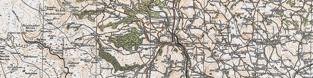 Old map of Bigadon Ho in 1919