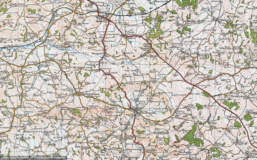 Old Map of Historic Map covering Buckham Mills in 1919