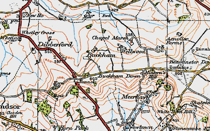Old map of Buckham Down in 1919