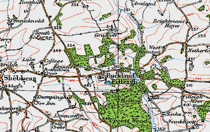 Old map of Buckland Filleigh in 1919
