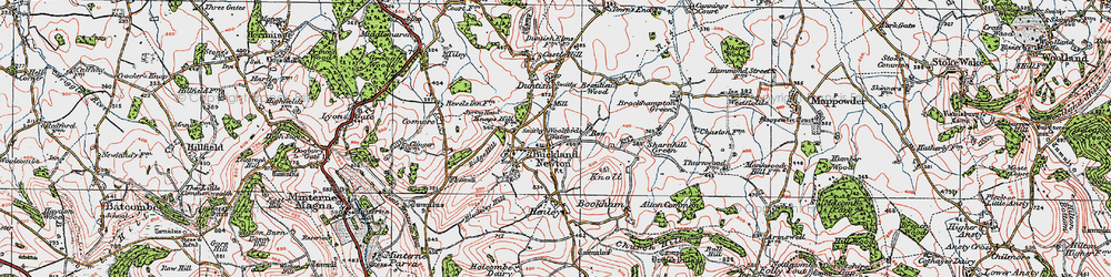 Old map of Buckland Newton in 1919