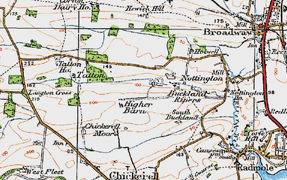 Old map of Buckland Ripers in 1919