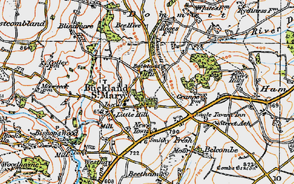 Old map of Buckland St Mary in 1919