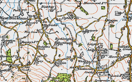 Old map of Budleigh in 1919