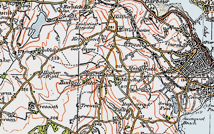 Old map of Budock Water in 1919