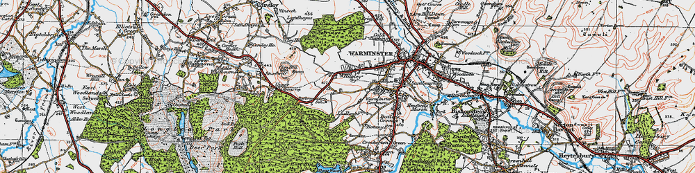 Old map of Buckler's Wood in 1919