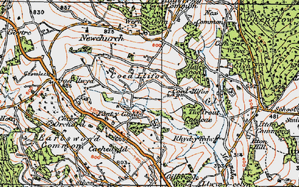 Old map of Bullyhole Bottom in 1919