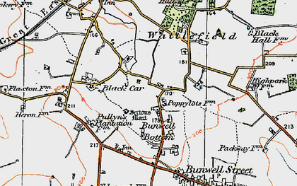 Old map of Bunwell Bottom in 1921