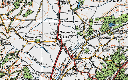 Old map of Burgates in 1919