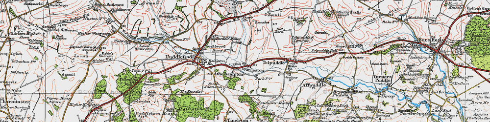 Old map of Burleston in 1919