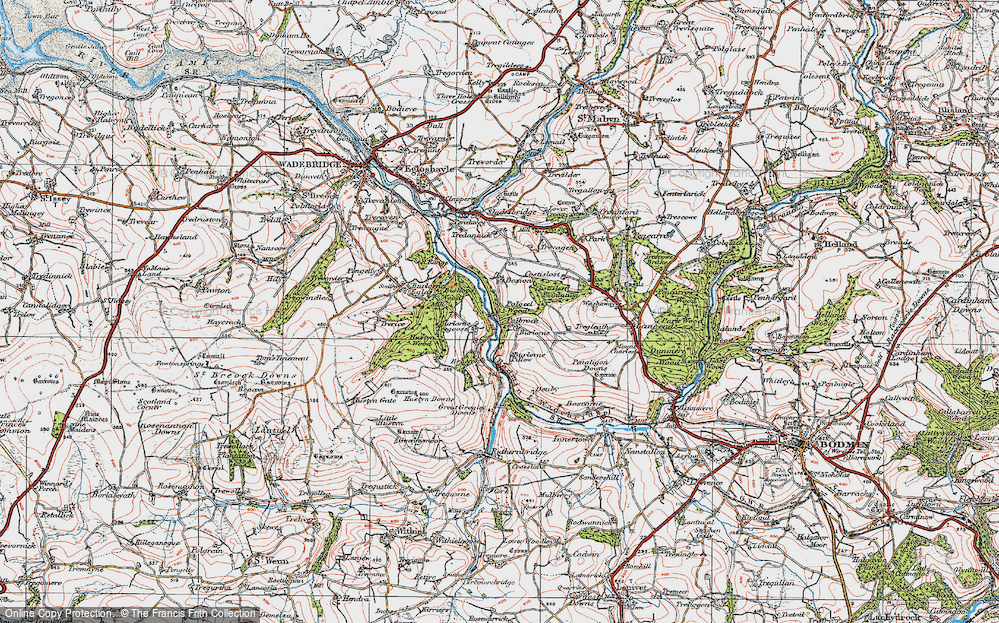 Old Map of Burlorne Tregoose, 1919 in 1919