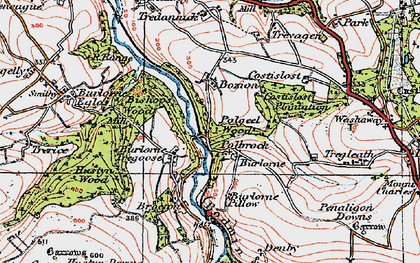 Old map of Burlorne Tregoose in 1919