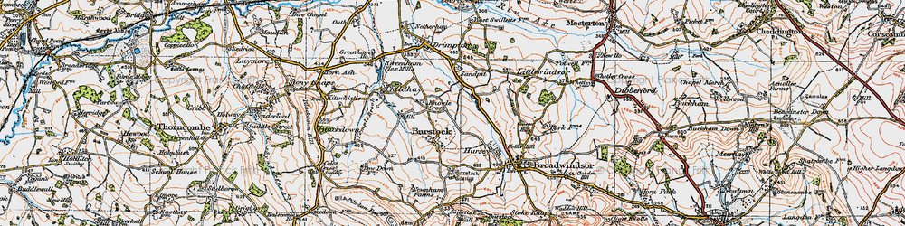 Old map of Burstock in 1919