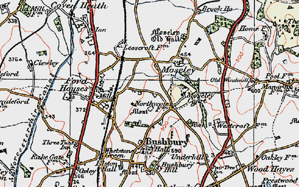Old map of Bushbury in 1921