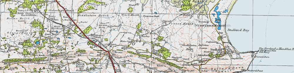 Old map of Bushey in 1919