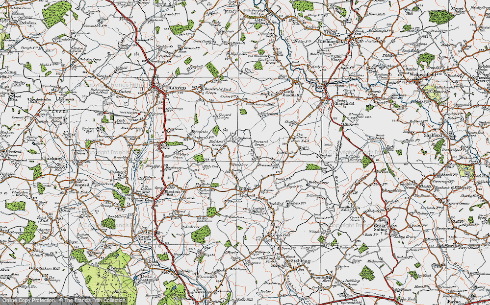 Bustard Green, 1919