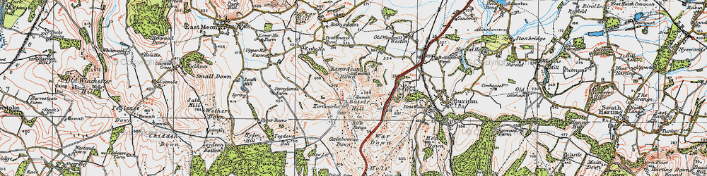Old map of Butser Hill in 1919