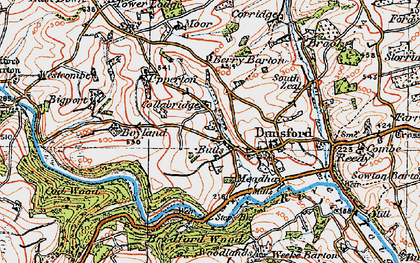 Old map of Bridford Wood in 1919