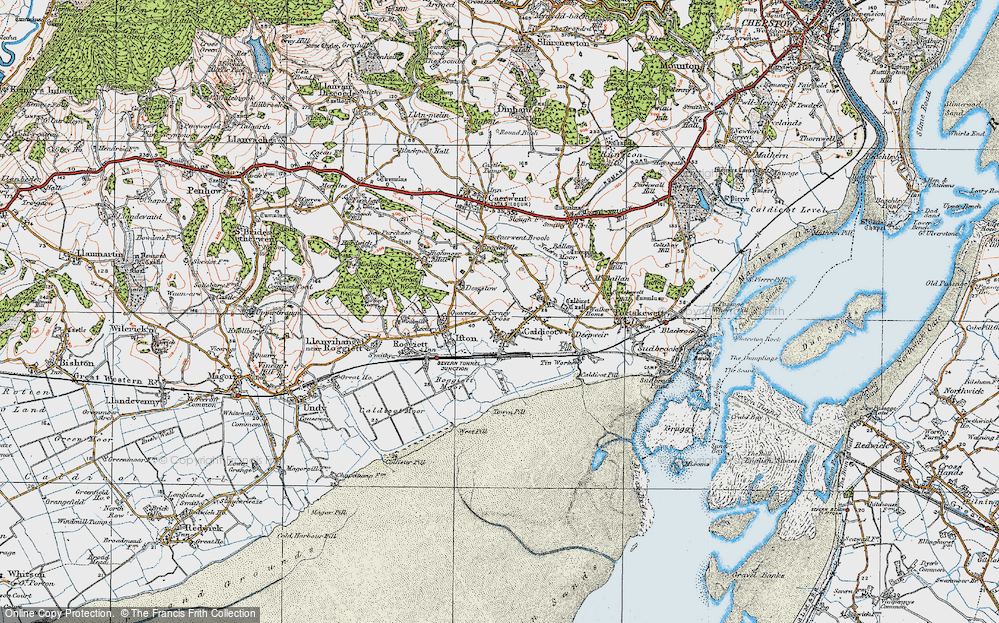 In 1919