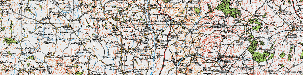Old map of Camesworth in 1919