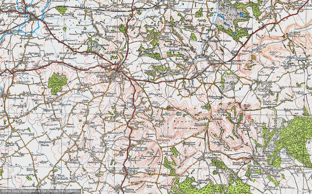 Old Map of Cann Common, 1919 in 1919