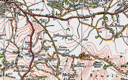 Old map of Cann Common in 1919