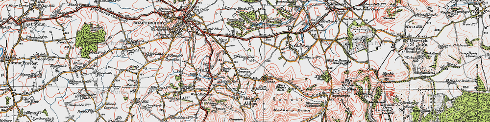 Old map of Cann Common in 1919