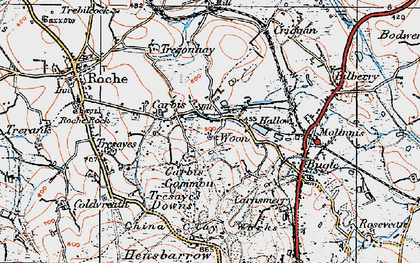 Old map of Carbis in 1919