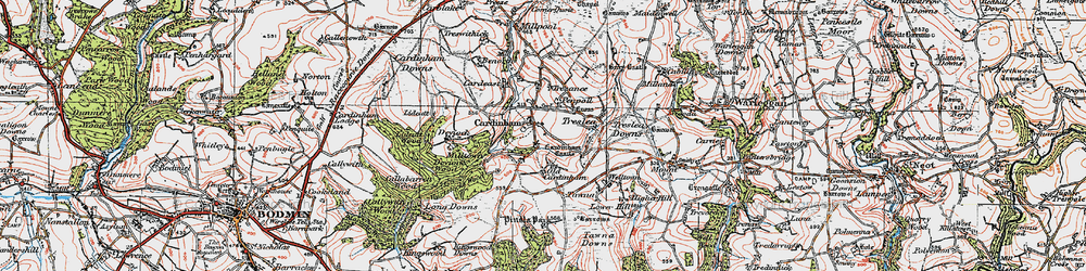 Old map of Cardinham in 1919