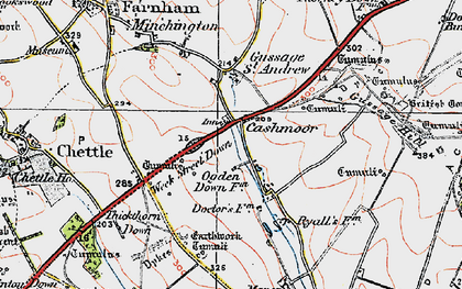 Old map of Cashmoor in 1919