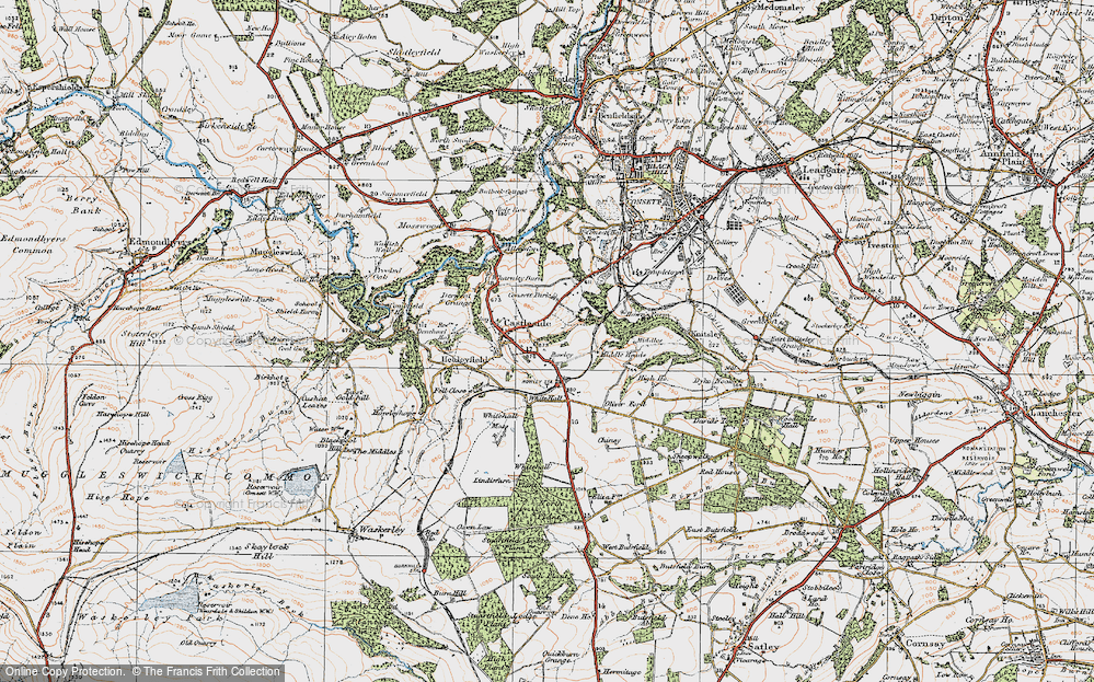 Old Map of Historic Map covering Whitehall in 1925