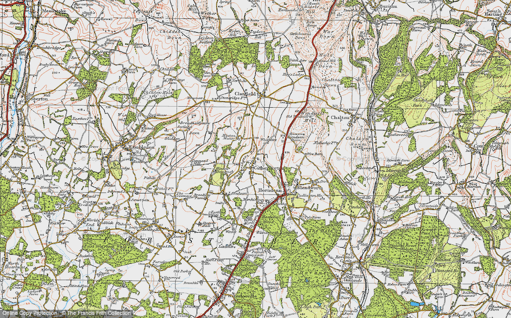 Old Map of Historic Map covering Broadhalfpenny Down in 1919