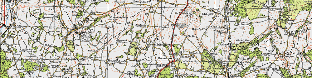 Old map of Catherington in 1919