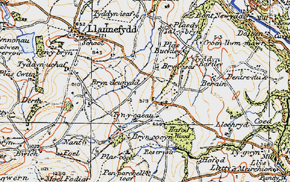 Old map of Bryn-cocyn in 1922
