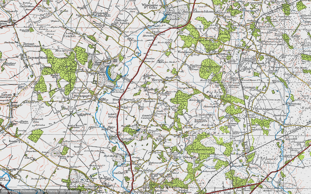 Old Map of Chalbury Common, 1919 in 1919